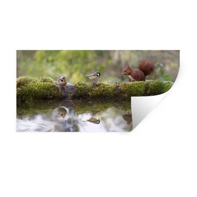 Produktbild von MuchoWow® Wandtattoo Wandsticker Wandaufkleber Waldtiere - Wasser - Moos 80x40 cm Selbstklebend und Repositionierbar - Aufkleber