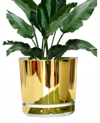 Produktbild von Kerd Dekor 21 Blumentopfuntersetzer gold-weiß glänzend