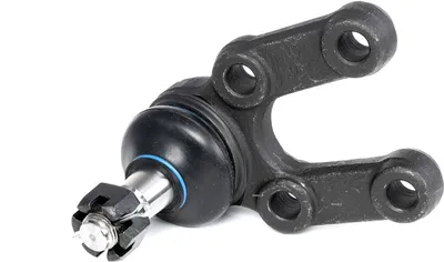 Produktbild von RIDEX Traggelenk Vorne für SSANGYONG KORANDO (KJ) 2462S0246