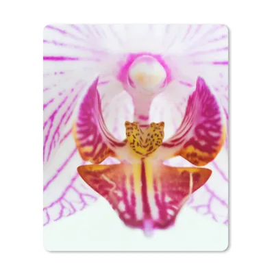 Produktbild von MuchoWow® Mauspad Mousepad Orchidee Detail 30x40 cm - Mousepads - Maus Mat - Pad - Mausunterlage - Mausmatten