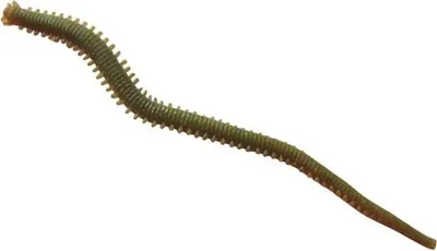 Obrázok produktu pre Berkley Gulp Alive Sandworm camo 15cm 28 Stück