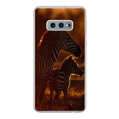 Produktbild von MuchoWow® Handyhülle Schutzhülle Hülle für Samsung Galaxy S10e Zebra - Sonne - Fohlen Silikon Softcase Handy Hülle - Handy