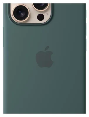 Immagine prodotto di Apple Custodia MagSafe in silicone per iPhone 16 Pro - Verde lago