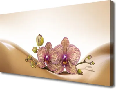 Produktbild von Tulup Leinwand-Bilder 100x50 Wandbild Canvas Kunstdruck Baume Pflanzen