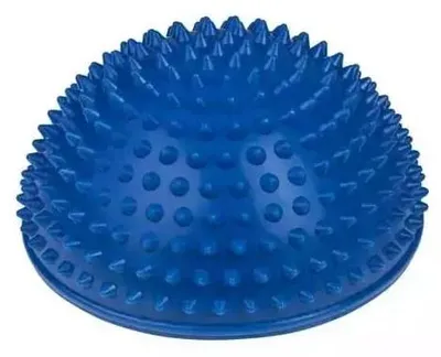 Produktbild von Die sensorische Hemisphäre, blau