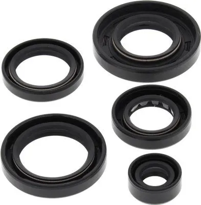 Obrázek produktu pro Sada motorových těsnění WINDEROSA W822343
