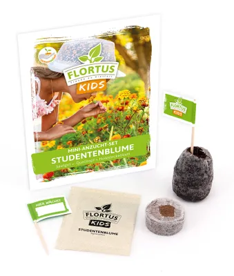 Artikelbild 1 von 'KIDS Mini Anzuchtset Studentenblume' aus der Kategorie Schnäppchen