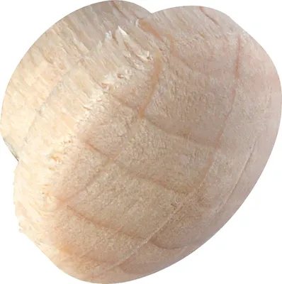 Produktbild von Holzabdeckkappe ø 12 mm, Zapfen ø 8 mm, Zapfenlänge 4 mm, Buche roh