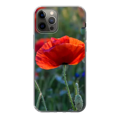 Produktbild von MuchoWow® Handyhülle Schutzhülle Hülle für iPhone 12 Pro Bunte Mohnblumen in den Niederlanden Silikon Softcase Handy Hülle - Abdeckung