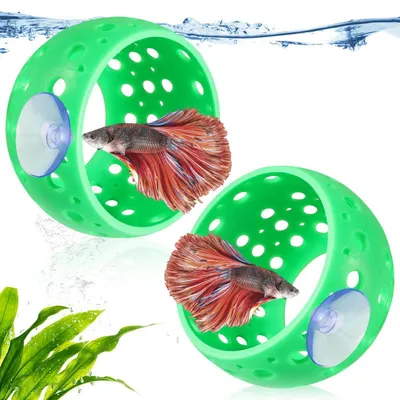 Produktbild von Aquarium Deko Versteck & Hängematte 2er Set – Betta Höhle Tunnel Grün