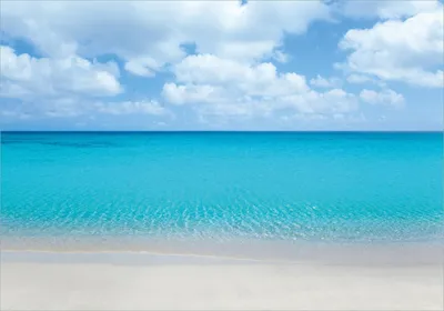 Produktbild von Wallario Poster - Sandstrand und blaues Meer, Kunstdruck Größe: 70 x 100 cm