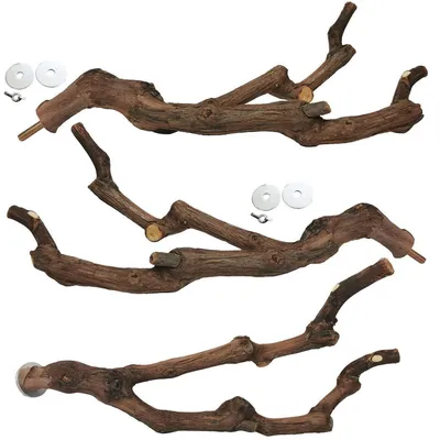 Immagine prodotto di Set di 3 posatoi in legno naturale per uccelli come pappagalli e parrocchetti, con trattamento per la cura degli artigli