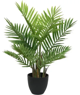 Produktbild von Bellatio Blumen & Pflanzen Kunstliche Pflanze - Aerca Goldpalme - 73 cm
