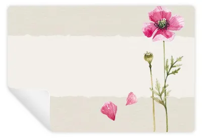 Produktbild von 25 Universalaufkleber zum Beschriften - Geschenketiketten 7,4 x 5,2 cm