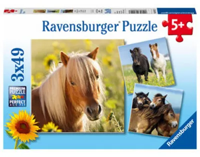 Produktbild von Liebe Pferde Ravensburger 08011