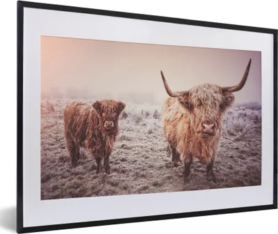 Produktbild von MuchoWow® MuchoWow® Gerahmtes Poster Schottische Hochlandrind - Schnee - Sonne 60x40 cm - Poster mit zchwarzem Bilderrahmen - Schlafzimmer - Plakat in Rahmen - Drucken