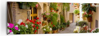 Produktbild von Bild auf Leinwand - Leinwandbild - Blume Straße Haus - 160x50cm - Wand Bild - Wanddeko - Wandbilder - Leinwanddruck - Bilder - Kunstdruck - Wanddekoration - Leinwand bilder - Wandkunst - AB160x50-3586