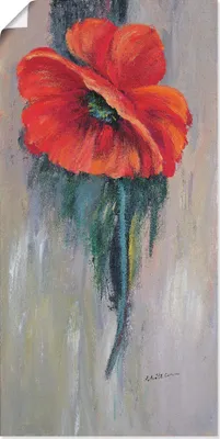 Produktbild von ARTland Poster Roter Mohn III Größe: 20x40 cm