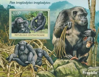 Produktbild von Briefmarken Zentralafrikanische Republik 2012 Mi Block 952 (kompl. Ausgabe) postfrisch Affen