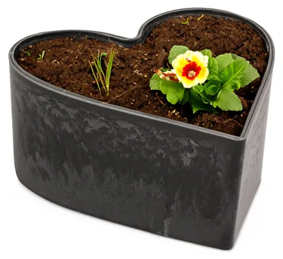 Produktbild von Herz Pflanzschale Vintage schwarz 15 x 15 cm Grabschmuck