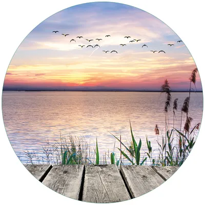 Produktbild von Wallario Premium Glasbild, freischwebende Optik, kräftige Farben, rund 50cm Durchmesser, Motiv Seepanorama mit Schilf und fliegenden Vögeln