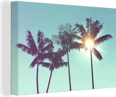 Zdjęcie produktu dla OneMillionCanvasses® - Obraz na płótnie - Fototapeta na płótnie - Palmy - Lato - Słońce - 150x100cm - Fotografia na płótnie - obraz na płótnie
