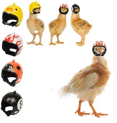 Produktbild von Hühner-Helm - 4 Stück - 4,5*4cm - Sicherheits-Helm für Haustiere - Kleidung für Haustiere - Kopfschutz für Papageien, Kuken, Enten und andere Geflügel - für kleines Geflügel