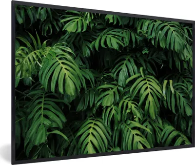Produktbild von MuchoWow® MuchoWow® Gerahmtes Poster Blätter - Monstera - Abstrakt - Mädchen - Kinder - Jungen 60x40 cm - Poster mit zchwarzem Bilderrahmen - Printing - Wanddeko Schlafzimmer