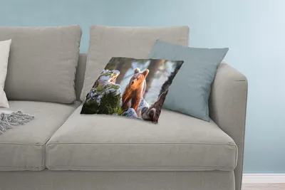 Produktbild von MuchoWow® Zierkissen Sofakissen Wohnzimmer Dekokissen 60x40 cm Bär - Braun - Tier - Kopfkissen - Polster mit Foto
