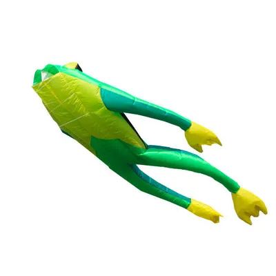 Immagine prodotto di Fritz the Frog 160630 Verde 140 x 210 cm aquilone monofilo Cloudstormer