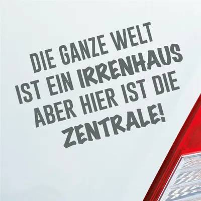 Produktbild von Auto Aufkleber Ganze Welt Irrenhaus Hier Zentrale 16x10 cm Grau Sticker Heckscheibenaufkleber