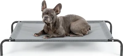 A French Bulldog lies on a gray elevated pet bed against a white background.