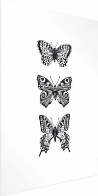 Produktbild von Posterpapier Poster - Three Butterflies 40x60 cm Tiere g-B-0116-ao-a
