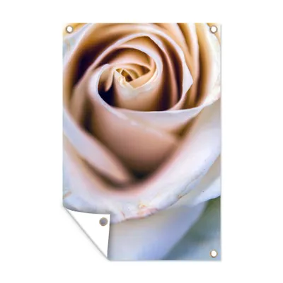 Obrázek produktu pro MuchoWow® Zahradní plakáty - Růže - květina - růžová - 60x40 cm - Zahradní dekorace