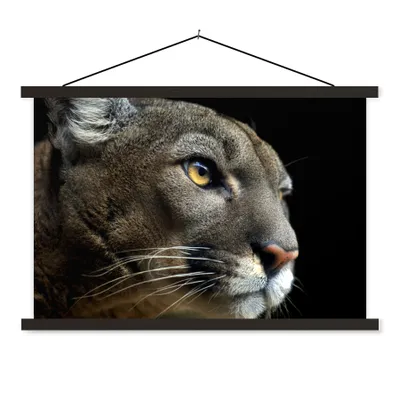Produktbild von MuchoWow® Textilposter Puma - Wilde Tiere - Porträt 90x60 cm mit schwarzem Rahmen - Aufhängungssatz