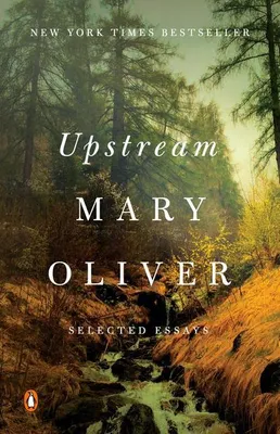 Produktbild von Upstream