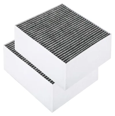 Produktbild von 2 Aktivkohlefilter Dunstabzugshaube 230x189x100mm für Siemens LZ56200, Bosch DSZ5220/DSZ5201, Neff Z5170X1, Gaggenau AA200110