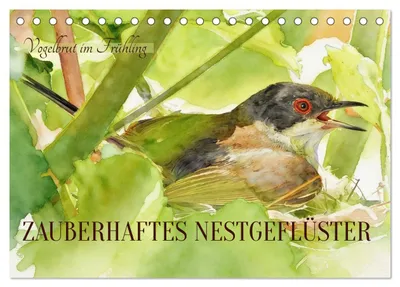 Produktbild von Zauberhaftes Nestgeflüster (Tischkalender 2027 DIN A5 quer), CALVENDO Monatskalender
