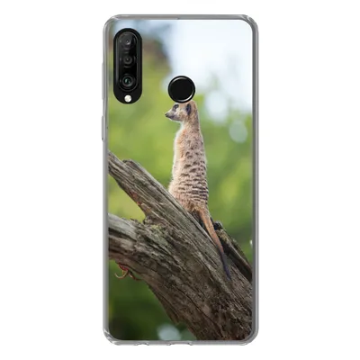 Produktbild von MuchoWow® Handyhülle Schutzhülle Hülle für Huawei P30 Lite Erdmännchen - Ast - Baum Silikon Softcase Handy Hülle - Handyhülle
