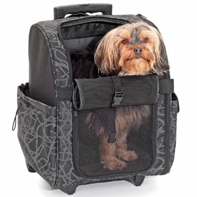 Produktbild von FLAMINGO Haustier-Trolley Izzie Schwarz 32x29x52 cm 31392