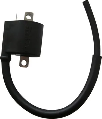 Produktbild von Zündspule für Betamotor, passend für Kawasaki, passend für Suzuki 12V / 0,6 OHM