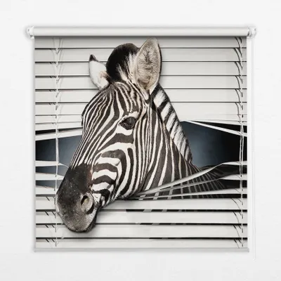 Produktbild von Seitenzug-Rollo Fensterrollo Jalousie - Lichtdurchlässig Springrollos - 60x180 cm - Zebra