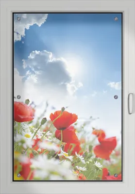 Produktbild von Wallario Lichtschutzbild, Dekorativer Sichtschutz Sonnenschutz 60 x 93 cm mit Motiv: Mohnblumen unter blauem Himmel - Verdunklung ohne Bohren