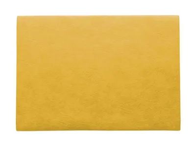 Immagine prodotto di ASA Selection vegan leather Tischset corn 46 × 33 cm