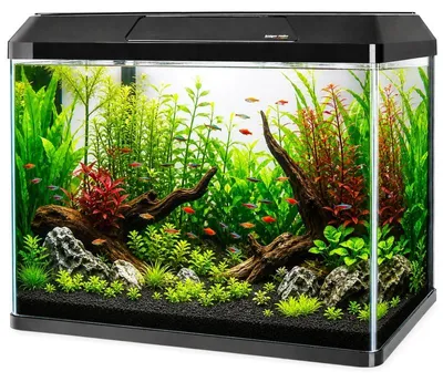 Produktbild von Kruger Meier LAORIA Panoramic 500 - Aquarium 45l mit Beleuchtung und Abdeckung