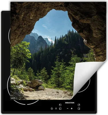Produktbild von DarHaus Herdabdeckplatte 50x52 cm Anti Rutsch Matte Aufrollbar, Wald