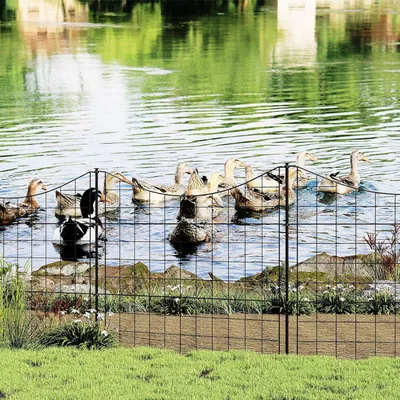 Produktbild von WOLTU 5 x Gartenzaun, Gitterzaun Unterbogen, Zaun für Hunde, Schwarz, 70×64 cm