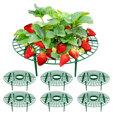 Produktbild von Erdbeerstützen 6 Stück Erdbeerregal 30 × 10 cm Witterungsbeständig und Wiederverwendbar für Erdbeeren, Gemüse, Tomaten und Gartenpflanzen