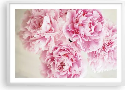 Produktbild von Gerahmtes Poster - Weißer Rahmen - Pfingstrosen Blumenstrauß Blumen - 70x50 cm - Wand Bild - Wanddeko - Wandbilder - Kunstposter - Wandposter - Bilderrahmen - Bilder - Kunstdruck - P2WAA70x50-4961