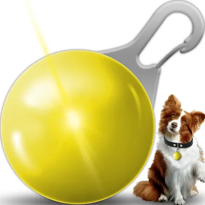 Produktbild von LED Leuchtanhänger inkl. Batterie für Hunde Katzen Haustier uvm. Leuchthalsband Led Hundehalsband Gelb Retoo